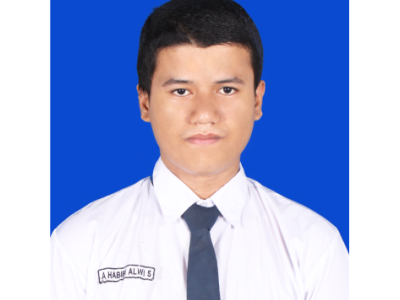 AHMAD HABIBI ALWI SMITH